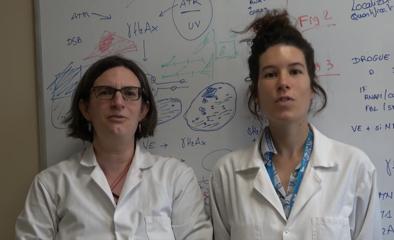 Discover our video for Telethon 2024